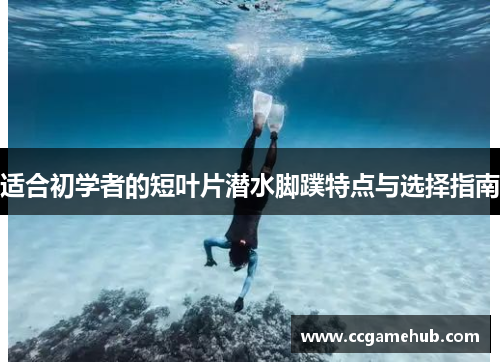 适合初学者的短叶片潜水脚蹼特点与选择指南